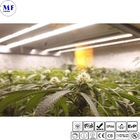 Energy-Efficient IP66 IK08 Waterproof 540W LED Plant Grow Sodium Light For Indoor Vertical Hydroponic Farming