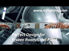 600 مم LED Tri Proof Fixture 25W مع ناشر زجاجي مقسّى