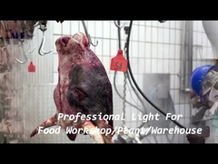 1200mm IP68 مقاوم للماء ثلاثي إثبات الصمام الخفيفة سلسلة قوس شنت