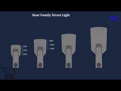 165lm / w NEMA Connector LED Street Light IP66 IK08 مقاوم للماء