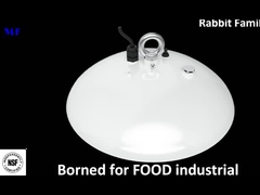 أدى الإضاءة عالية خليج