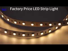 RGB RGBW IP20 IP65 IP68 7.2W-28.8W LED 5050 ضوء الشريط