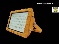 IP66 IP67 LED ضوء الشارع المضاد للانفجار مع الغبار EX IECEX IK10 30W 50W 60W 80W 100W