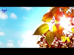 حمام 1 مصباح الشارع الشمسي