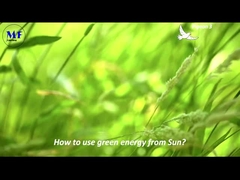 MF ضوء الشارع الشمسي حمامة 3 فيديو