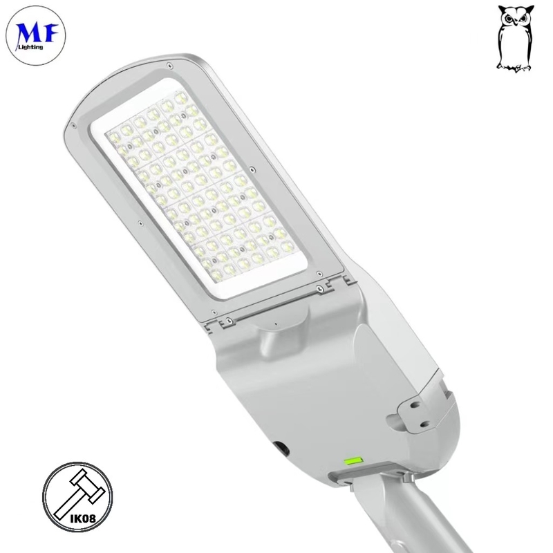5 Years Warranty LED Street Light Roadway Lamp 30W IP66 Waterproof Outdoor 170lm/w For Bicycle Lanes