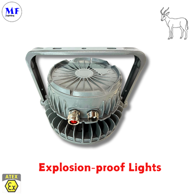 IP66 IK08 ضمان 5 سنوات طرق تركيب متنوعة Ra>80 معتمد ATEX ألومنيوم مصبوب مقاوم للانفجار إضاءة عالية